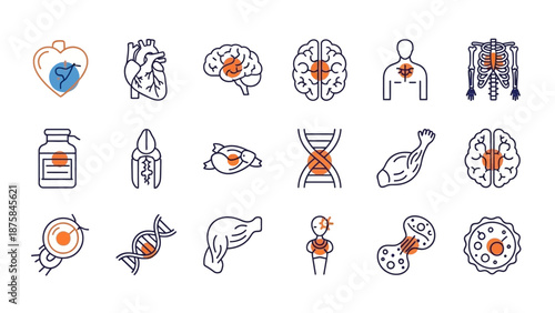 Human Anatomy Icons: Heart, Brain, Skeleton, DNA, Muscle, Cells, Organs