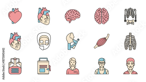 Human Anatomy Icons: Heart, Brain, Skeleton, Medical Equipment, Doctors