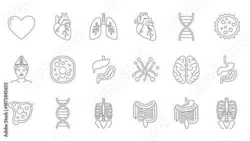 Human Anatomy Icons: Heart, Lungs, Brain, DNA, Organs, Skeleton, Cells