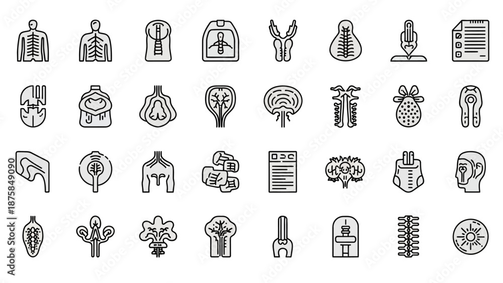 Fototapeta premium Human Anatomy Icons Set - Medical Organs and Body Systems