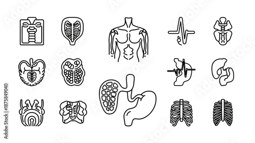 Human Anatomy Icons: Internal Organs, Skeleton, Torso, Heartbeat