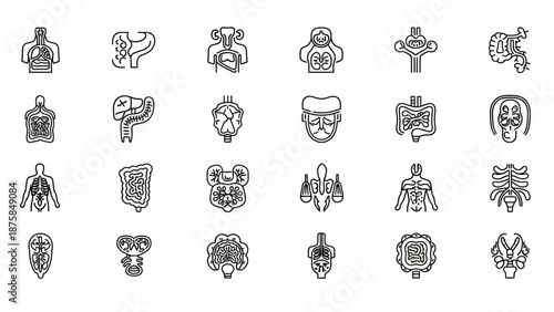 Human Anatomy Icons: Organs, Systems, and Body Parts - Medical Line Art