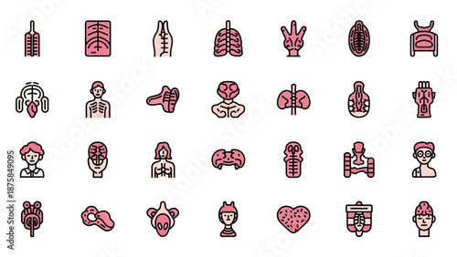 Human Anatomy Icons Set - Medical Organs and Body Systems Collection