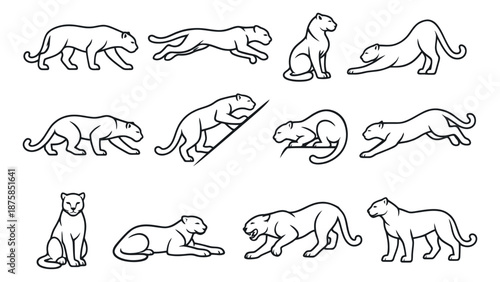 Line art panther illustration set featuring various poses for animal design projects