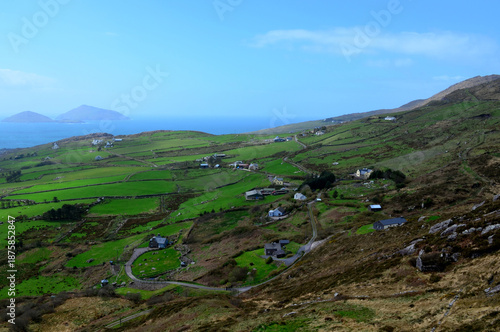 Vibrant Stunning Fields and Pastures Leading to the Irish Coast
