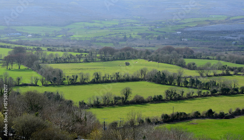 Lush Grass Pastures and Fields in Ireland