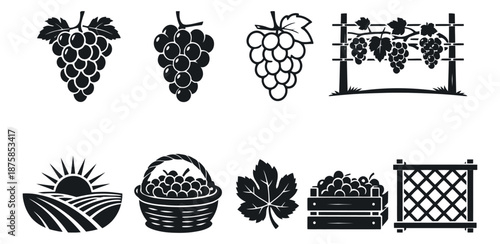 Glyph and line art style grape icon set featuring bunches, leaves, vineyard elements, and harvest items for winemaking and agriculture