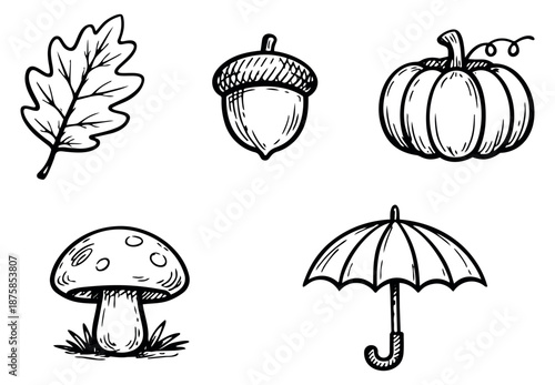 Hand drawn line art autumn elements set featuring an oak leaf, acorn, pumpkin, mushroom, and umbrella for fall season decoration