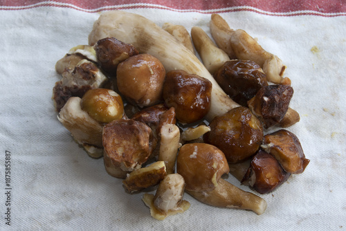 premium frozen porcini mushroom pieces for gourmet home cooking