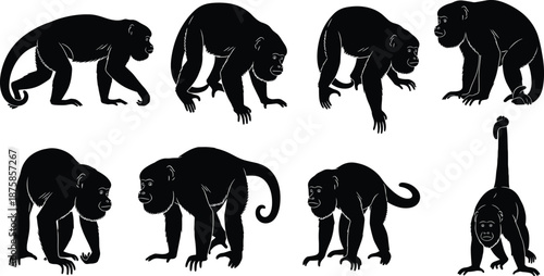 Black monkey silhouette collection showing multiple walking, crouching, and climbing poses isolated on white background, wildlife primate illustration set for design and education