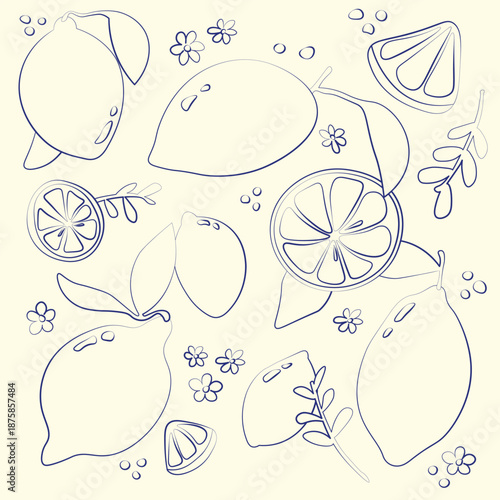 Cute hand drawn vector lemon illustartion