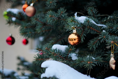 Golden and red Christmas ball decorations hanging in natural fir tree covered by snow
