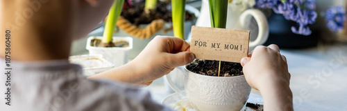 Banner. Concept of children craft, handmade gift for Mother's Day or Women's day, March 8th. Little boy planting hyacinth in a cup with handmade postcard for my Mom. Kid's leisure activity, handcraft
