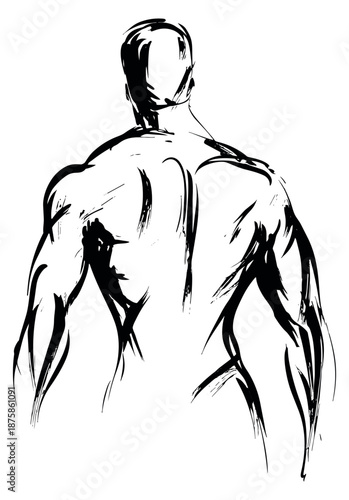 Hand drawn illustration of a muscular male back depicting strength and fitness for a bodybuilding concept