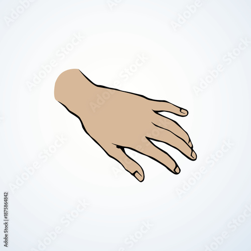 Outstretched young lady forearm on white backdrop. Freehand outline black ink drawn hold logo pictogram emblem sketchy in retro art doodle cartoon style pen on paper space for text. Closeup side view