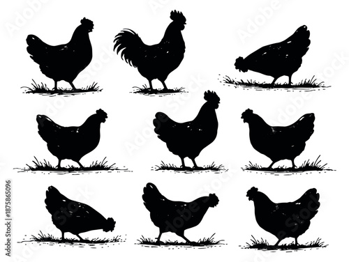 Hand drawn silhouette chicken set featuring a rooster and hens for farm and food related design