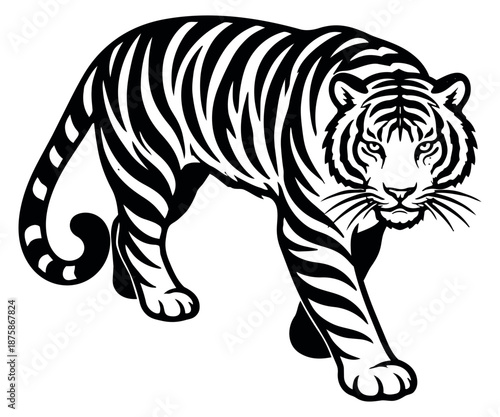 Graphic line art illustration of a tiger depicting a predatory stalk for strength and power themes