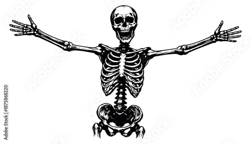 Hand drawn line art illustration of a human skeleton depicting outstretched arms and an open mouth for Halloween concepts