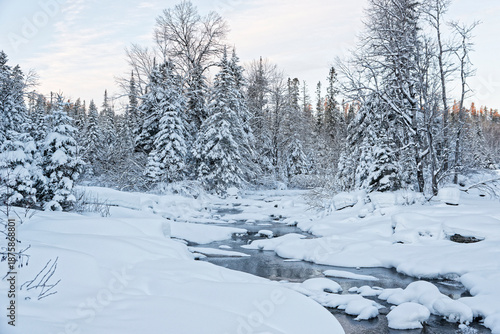 Foto Petit ruisseau glacé au milieu d'une foret de pins enneigés