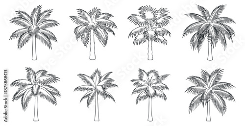 A set of palm tree illustrations in black and white outline style, perfect for tropical-themed projects and designs
