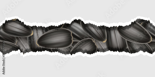 Black sunflower seeds seamless pattern, torn packaging effect, web design closeup