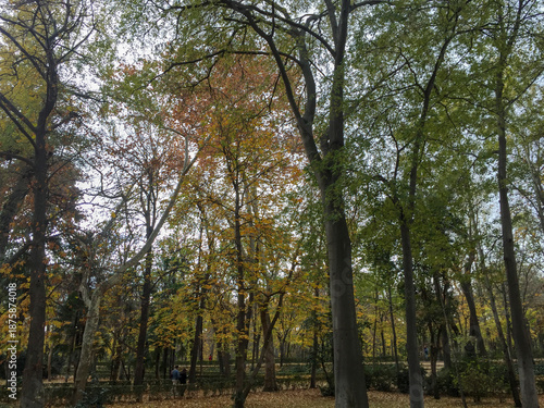 Autumn arrives at the city park with leaves scattered on the ground.