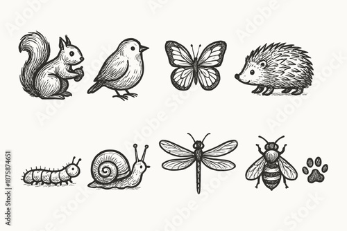 Animal sketch icon set. Hand-drawn woodland creatures and insects collection.