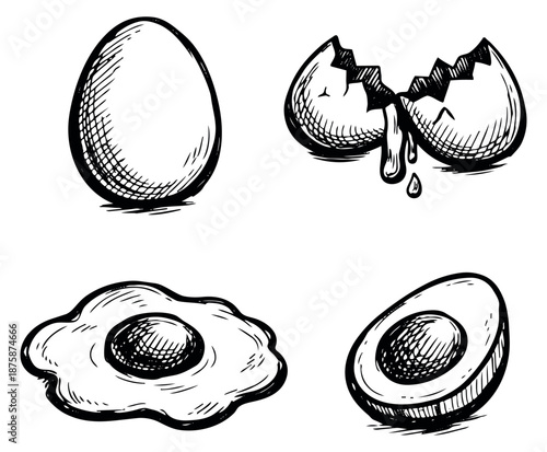 Hand drawn line art egg set featuring whole, broken, fried, and halved eggs for breakfast and culinary designs
