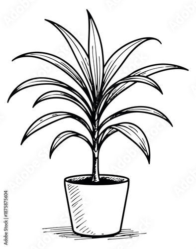 Hand drawn line art illustration of a potted houseplant depicting lush foliage for interior decoration