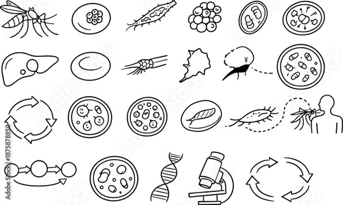 Image Generation. Line style icons of Plasmodium host alternation: mosquito, human blood cell, sporozoite, merozoite, gametocyte,