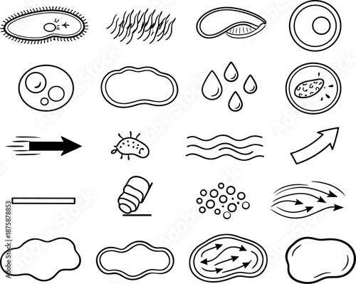 Image Generation. Line style icons of ciliate cell dynamics: paramecium shape, cilia, oral groove, nucleus, food vacuole, cell
