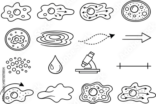 Image Generation. Line style icons of amoeba pseudopodia formation: amoeba shape, pseudopod extension, cytoplasm streaming, cell