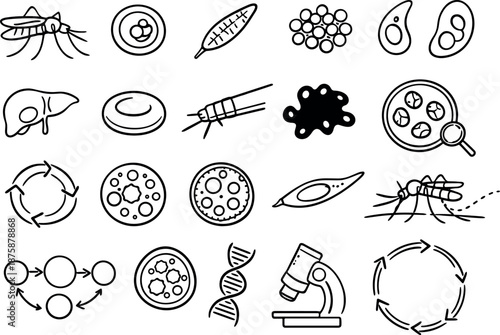 Image Generation. Line style icons of Plasmodium biology stages: mosquito, human blood cell, sporozoite, merozoite, gametocyte,