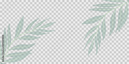 Tropical Palm Tree Border And Isolated Transparent Background With Gradient Mesh, Vector Illustration. green leaves vector