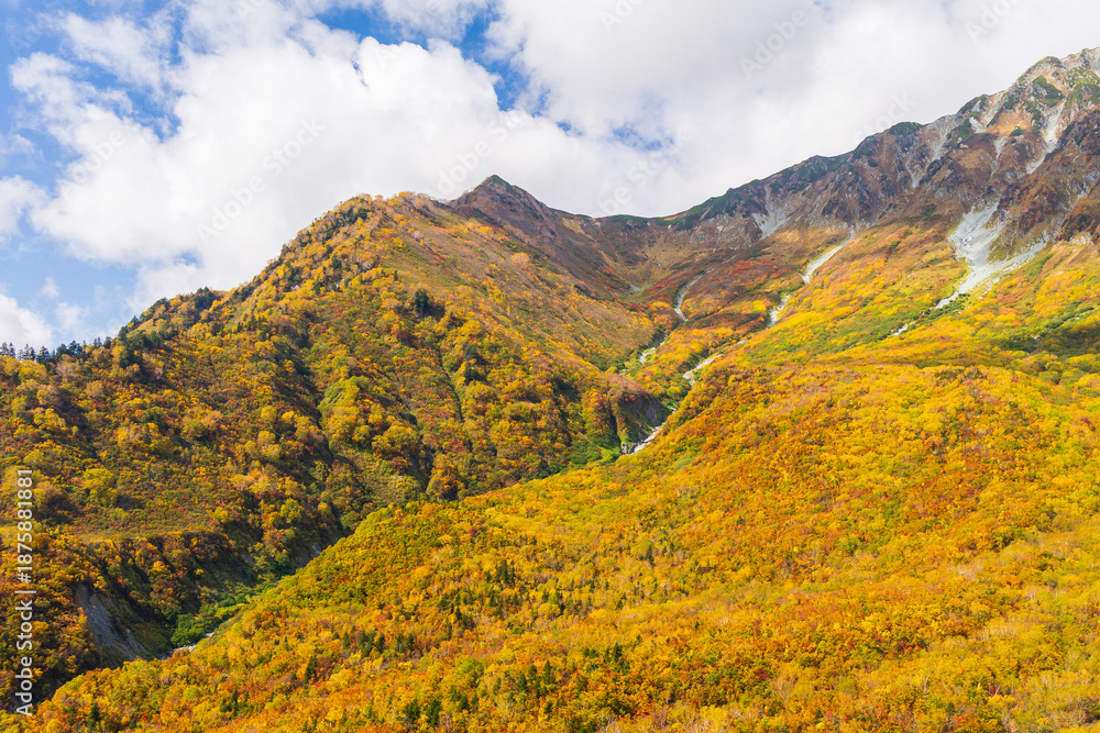 Fototapeta premium 日本の風景・秋 紅葉の立山黒部アルペンルート 絶景の黒部平