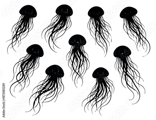 Graphic jellyfish set featuring detailed marine creature silhouettes for aquatic design projects