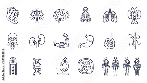 Human Anatomy Icons Set: Organs, Skeleton, Brain, DNA, Microscope, Cells
