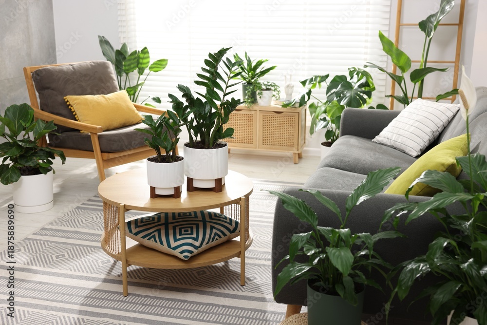 Fototapeta premium Comfortable sofa, coffee table and different potted houseplants indoors