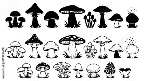 Hand drawn mushroom set featuring different fungi in line art and silhouette styles for autumn and nature designs