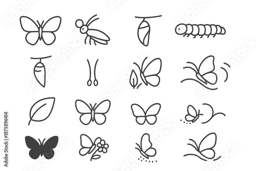 Butterfly Life Cycle. Line style icons of butterflies: open wings, perched insect, cocoon, caterpillar, chrysalis, antenna tip,