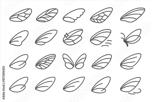 Insect Wing Icons. Line style icons of insect wings: transparent wing, layered vein, feathered edge, folded pattern, light