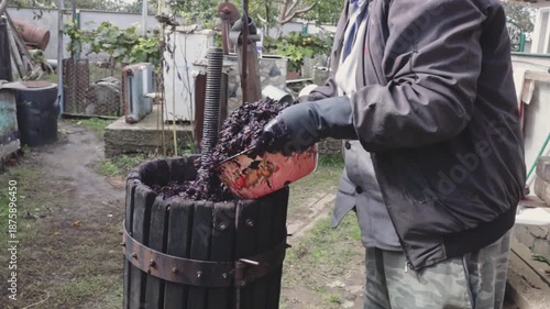 A winemaker wearing gloves pours pulp from a bowl into a press in the backyard.