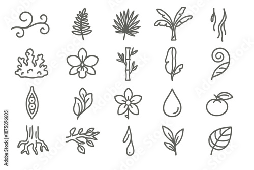 Jungle Flora Icons. Line style icons of Jungle Flora: vine, fern, palm leaf, banana tree, moss, orchid, bamboo stalk, hanging