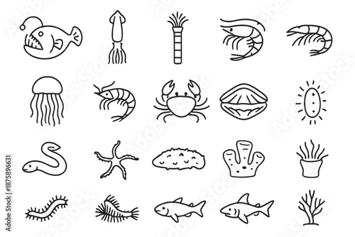 Deep Sea Icon Set. Line style icons of Deep Sea Life: anglerfish, giant squid, tube worm, shrimp, jellyfish, amphipod, crab, clam,