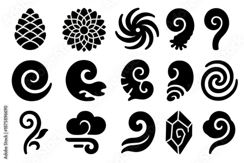 Spiral Nature Icons. Solid style icons of Spiral nature forms: pine cone, sunflower seed pattern, galaxy swirl, fern curl, snail