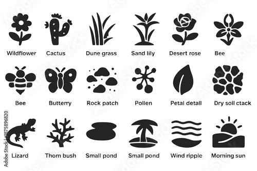 Desert Bloom Icons. Solid style icons of Desert Bloom Phenomenon: wildflower, cactus bloom, dune grass, sand lily, desert rose,