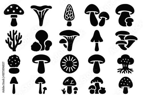 Mushroom Icon Collection. Solid style icons of Mushrooms and Fungi: toadstool, chanterelle, morel, fly agaric, porcini, coral