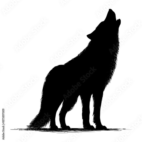 Wolf stands and howls at night under the moonlight