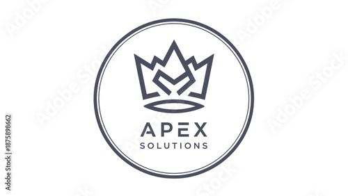 Apex Solutions Logo Design Element.