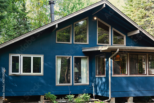 Windows of the forest